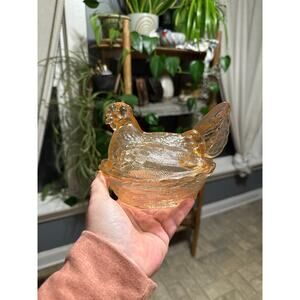 Pinkish peachy medium hen on nest